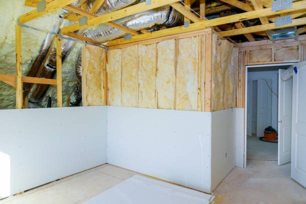 Best Eco-Friendly Insulation in Pirtleville, AZ